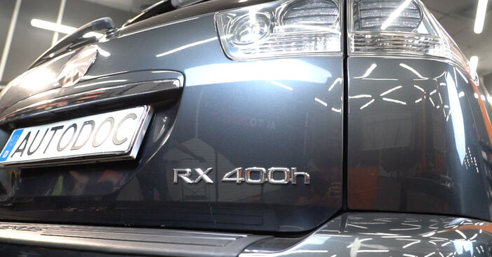 Stapsgewijze aanbevelingen om zelf Lexus RX XU30 2004 350 (GSU30_) Veren vervangen