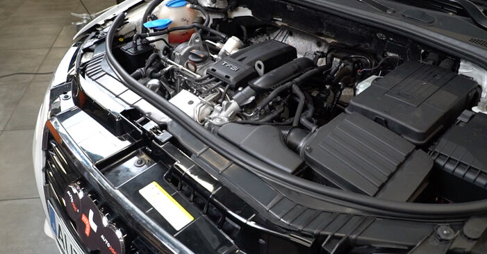 Trinn-for-trinn anbefalinger for hvordan du kan bytte Audi A3 8P 2007 1.6 Fjærer selv