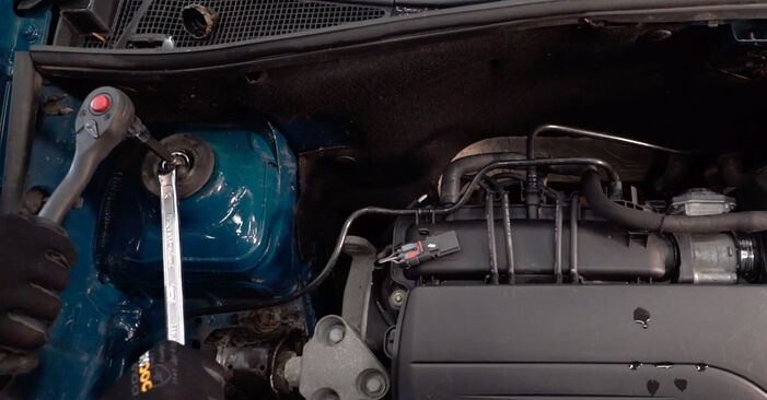 Renault Kangoo KC 1.4 1999 Domlager wechseln: Gratis Reparaturanleitungen
