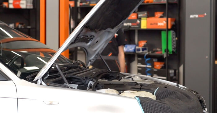 Kaip nuimti BMW 3 SERIES Variklio montavimo rėmas - nesudėtingos internetinės instrukcijos