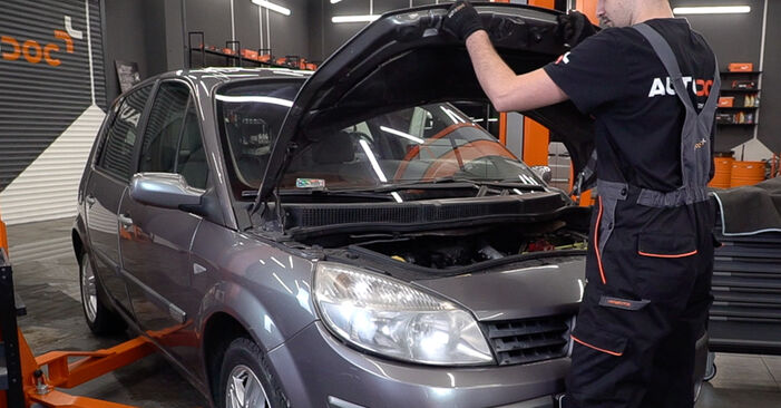 How to change Brake Discs on Renault Scenic 2 2003 - free PDF and video manuals