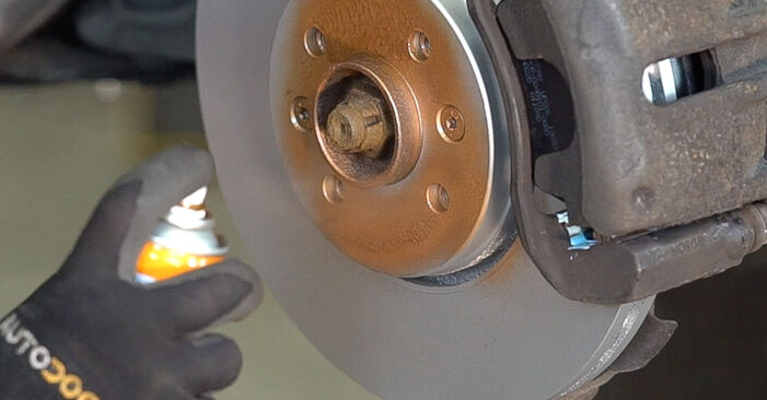 How to change Brake Discs on RENAULT SCÉNIC II (JM0/1_) 2007 - tips and tricks