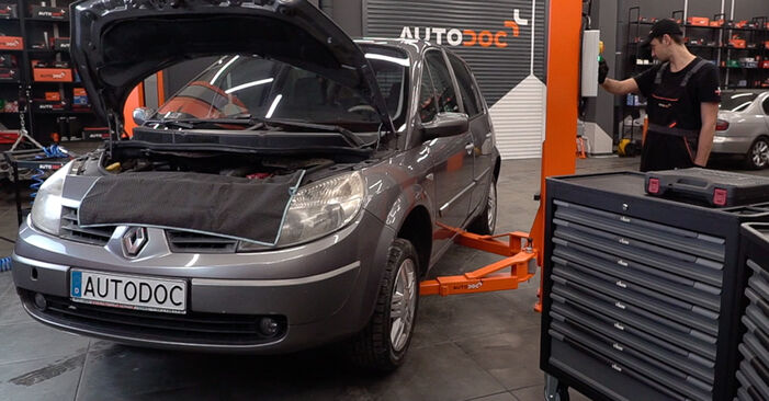 Changing Brake Discs on RENAULT SCÉNIC II (JM0/1_) 1.6 16V 2006 by yourself
