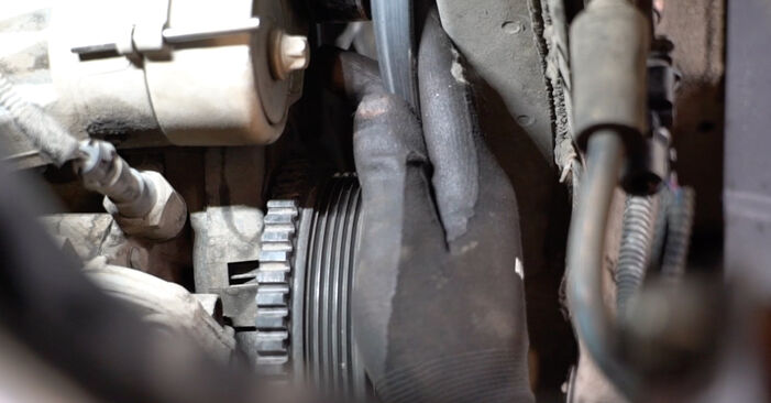 Changing Poly V-Belt on OPEL Meriva A (X03) 1.6 (E75) 2006 by yourself
