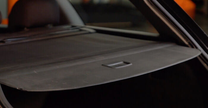 Wie Heckklappendämpfer beim Audi A4 B6 Avant 2001 gewechselt werden - Unentgeltliche PDF- und Videoanweisungen