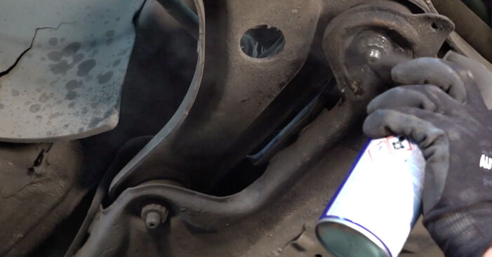 Replacing Control Arm on Citroen C3 Mk1 2012 1.4 HDi by yourself