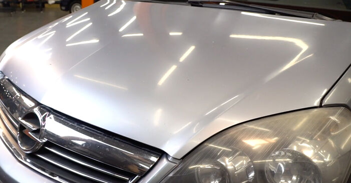 Wie schmierig ist es, selber zu reparieren: Bremsscheiben beim Opel Zafira B 1.9 CDTI (M75) 2011 wechseln – Downloaden Sie sich Bildanleitungen