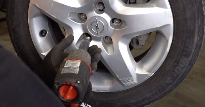 How to remove OPEL ZAFIRA 1.6 CNG (M75) 2009 Wheel Bearing - online easy-to-follow instructions