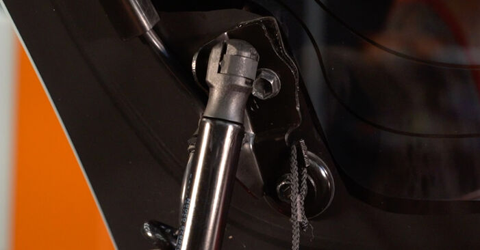 Sostituzione Pistoncini portellone su Peugeot 107 PM 1.0 2011 - scarica la guida illustrata