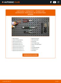 Wie der Austausch bewerkstelligt wird: Thermostat 1.4 HDi Peugeot 207 WA