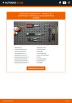 Wie führe ich einen Thermostatgehäuse-Ersatz bei meinem 207 CC 1.6 16V durch? Schritt-für-Schritt-Wegleitungen