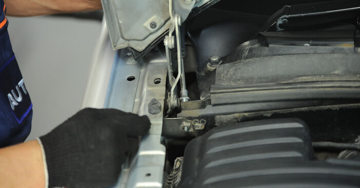 Wechseln Domlager am VW SHARAN (7M8, 7M9, 7M6) 1.9 TDI 4motion 1998 selber