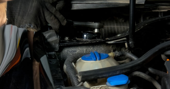 Come sostituire VW Golf V Hatchback (1K1) 1.9 TDI 2004 Supporto Ammortizzatore - manuali passo passo e video guide