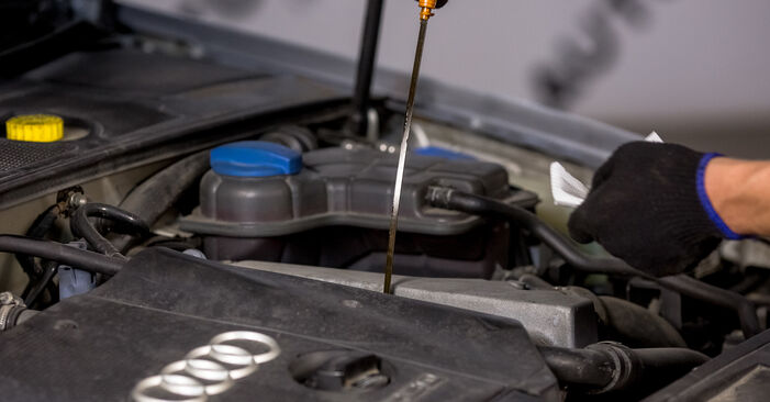 Audi A4 B6 2.0 2002 Ölfilter wechseln: Kostenfreie Reparaturwegleitungen