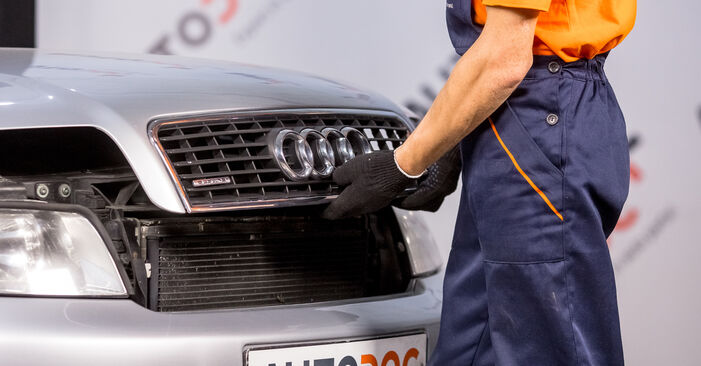 Wie Bremsscheiben beim Audi A4 B6 2000 gewechselt werden - Unentgeltliche PDF- und Videoanweisungen