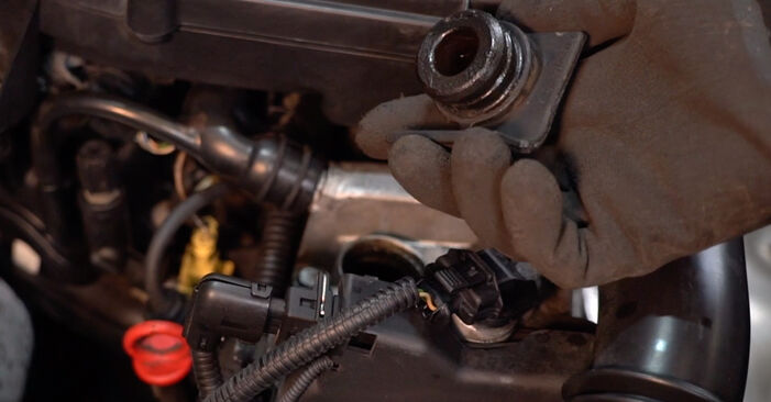 Ölfilter Fiat Punto 188 1.3 JTD 16V 2001 wechseln: Kostenlose Reparaturhandbücher