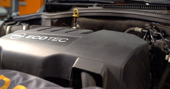 Schrittweise Anleitung zum eigenhändigen Ersatz von Opel Corsa C 2010 1.7 DTI (F08, F68) Ölfilter