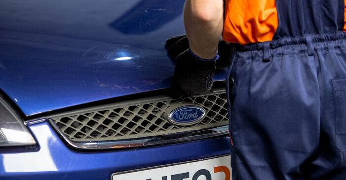 Ford Fiesta Mk5 1.4 16V 2003 Domlager wechseln: Gratis Reparaturanleitungen