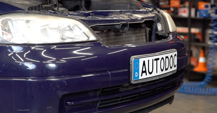 Recomendaciones paso a paso para la sustitución por su cuenta Opel Astra G CC 1999 1.7 DTI 16V (F08, F48) Taco de Motor