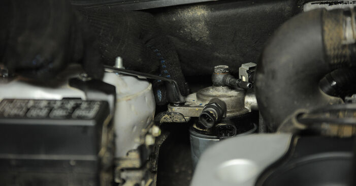 Trinn-for-trinn anbefalinger for hvordan du kan bytte Hyundai Santa Fe CM 2010 2.2 CRDi GLS Drivstoffilter selv