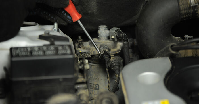 Kraftstofffilter Hyundai Santa Fe cm 2.2 CRDi 2007 wechseln: Kostenlose Reparaturhandbücher