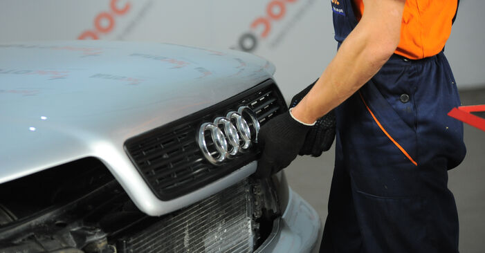 Quanto è difficile il fai da te: sostituzione Filtro Olio su Audi A4 B5 Avant 2.5 TDI 2000 - scarica la guida illustrata