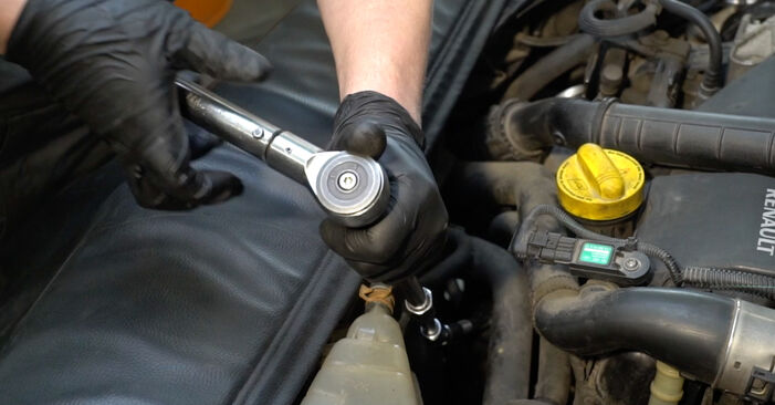 Wie man Ölfilter beim Renault Clio 3 2005 wechselt - Gratis PDF- und Video-Tutorials