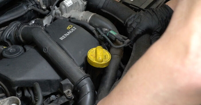 Come sostituire Filtro olio motore RENAULT Clio III Hatchback (BR0/1, CR0/1) 1.2 16V 2006 - manuali passo passo e video guide