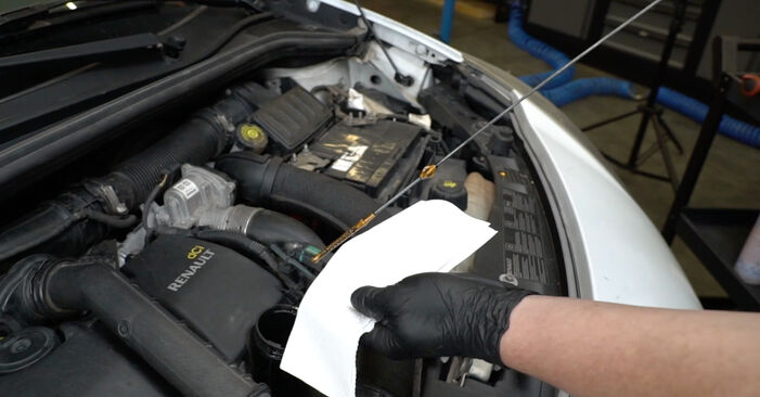 Cómo cambiar Filtro de Aceite en un RENAULT Clio III Hatchback (BR0/1, CR0/1) 2007 - consejos y trucos