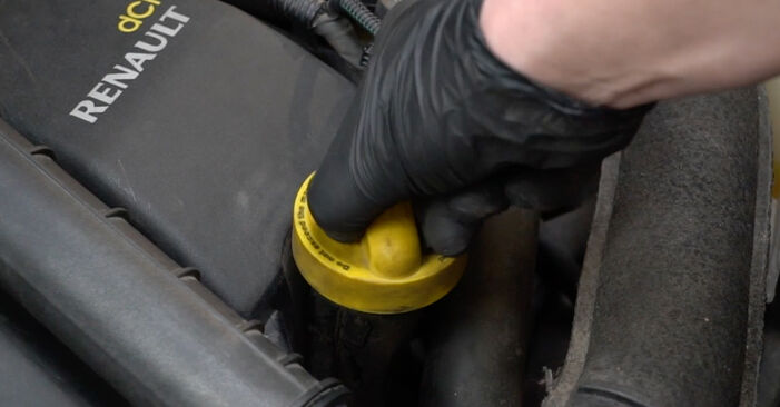 Renault Clio 3 1.2 16V 2007 Ölfilter austauschen: Unentgeltliche Reparatur-Tutorials
