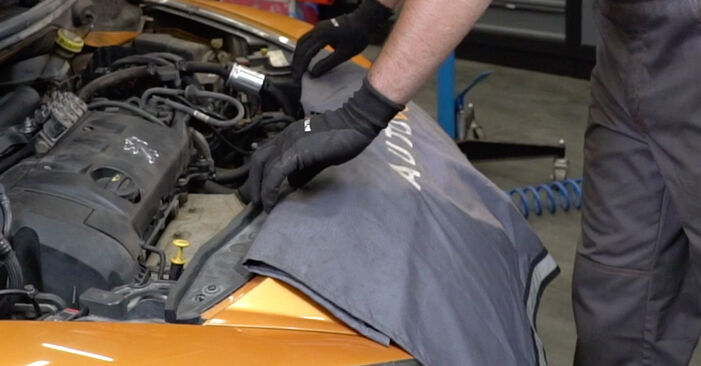 Cómo cambiar Filtro de Aceite en un Peugeot 207 Hatchback 2006 - Manuales en PDF y en video gratuitos