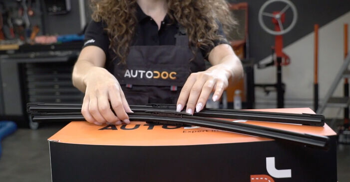 How to change Wiper Blades on Audi A4 B7 2004 - free PDF and video manuals