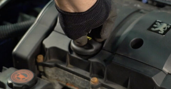 Ölfilter Ihres Peugeot 206 CC 1.6 16V (2DNFUF, 2DNFUR) 2008 selbst Wechsel - Gratis Tutorial
