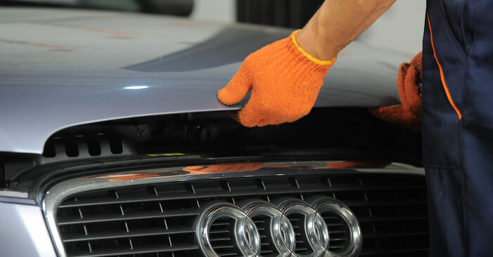 Hvordan skifte Kupefilter på Audi A4 B7 Avant 2004 – gratis PDF- og videoveiledninger