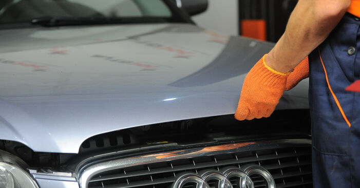 Trinn-for-trinn anbefalinger for hvordan du kan bytte Audi A4 B7 Avant 2007 2.0 TFSI quattro Kupefilter selv