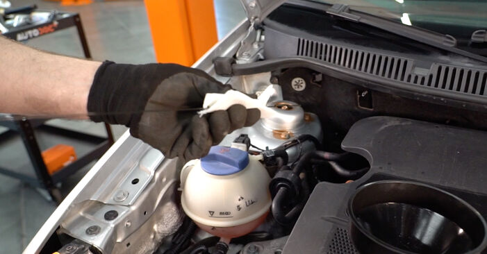 Changing Oil Filter on VW POLO (9N_) 1.2 2004 by yourself