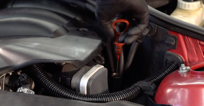 Svojpomocná výmena Olejový filter na aute BMW 3 Convertible (E46) 2002 330 Ci