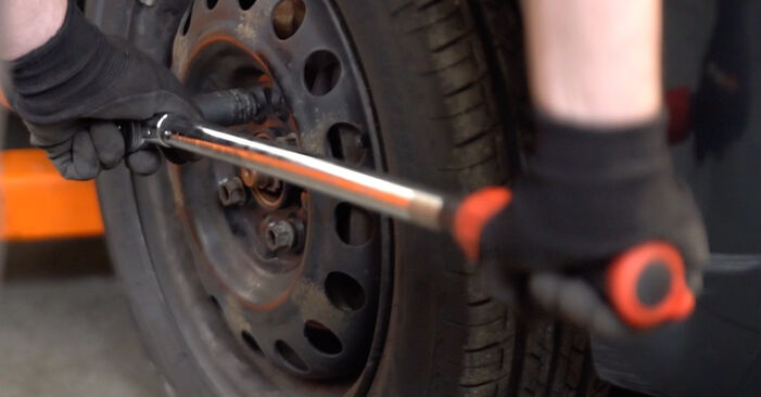 Wie lange braucht der Teilewechsel: Federn am Toyota Aygo AB1 2013 - Einlässliche PDF-Wegleitung
