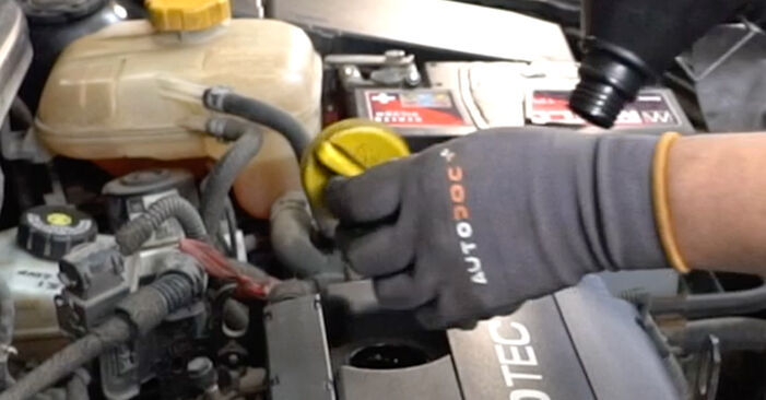 Jak trudno jest to zrobić samemu: wymień Filtr oleju silnikowego w Opel Astra H Sedan 1.4 (L69) 2013 - pobierz ilustrowany przewodnik