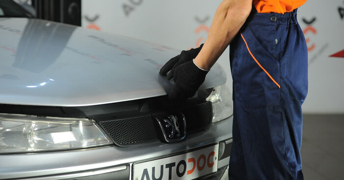 Austauschen Anleitung Bremsbeläge am Peugeot 406 Limousine 2005 2.0 HDI 110 selbst