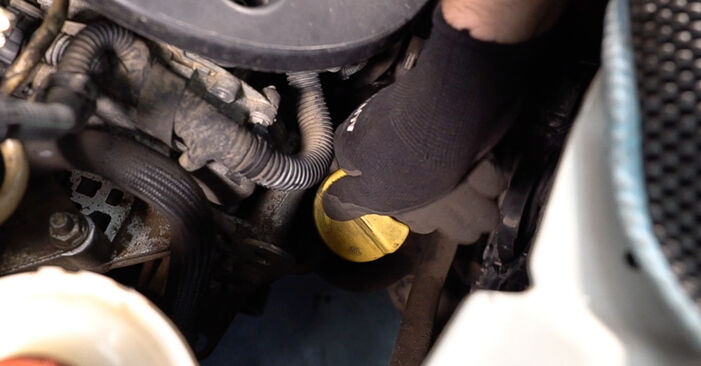 How to change Oil Filter on FIAT Doblo Cargo (223_) 2012 - tips and tricks