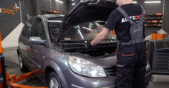 Hvordan skifte Fjærer på Renault Scenic 2 2003 – gratis PDF- og videoveiledninger