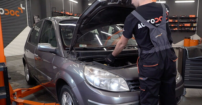 Hvordan skifte Oljefilter på Renault Scenic 2 2003 – gratis PDF- og videoveiledninger