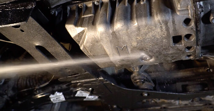 Wie man Ölfilter beim Renault Scenic 2 2003 wechselt - Gratis PDF- und Video-Tutorials