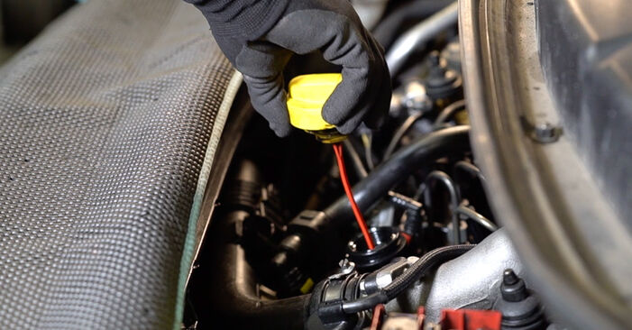 Wie kompliziert ist es, selbst zu reparieren: Ölfilter am Renault Scenic 2 2.0 dCi 2009 ersetzen – Laden Sie sich illustrierte Wegleitungen herunter