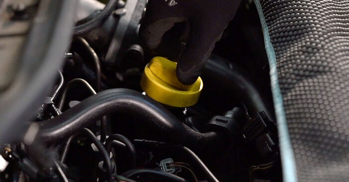 Renault Scenic 2 1.5 dCi (JM1E, JM16) 2005 Ölfilter wechseln: Gratis Reparaturanleitungen