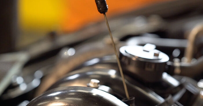 Jak wymienić Filtr oleju w ALFA ROMEO 159 Sportwagon (939) 2011 - wskazówki i porady