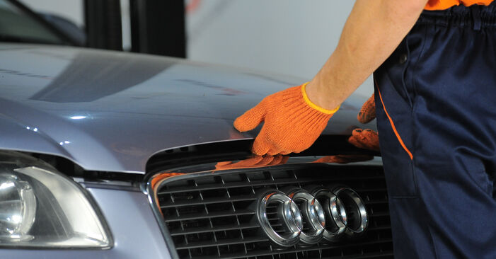 Стъпка по стъпка препоруки за самостоятелна смяна на Audi A4 B7 2007 2.0 TFSI quattro Пружинно окачване