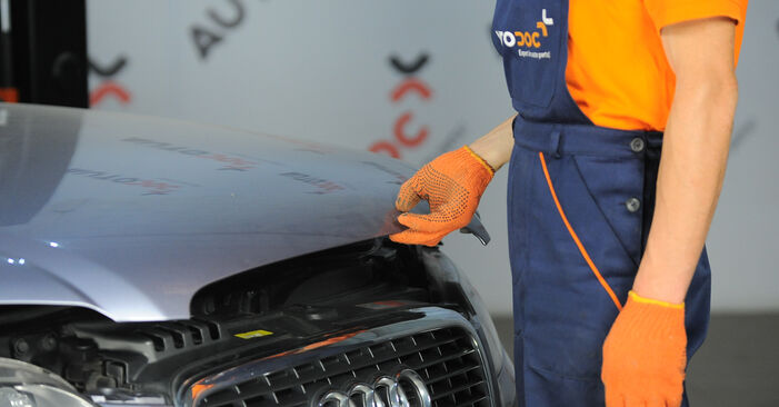 Колко време отнема смяната: Пружинно окачване на Audi A4 B7 2007 - информативен PDF наръчник