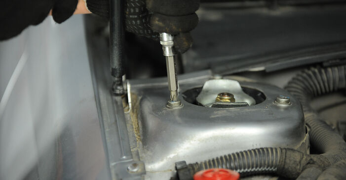Trinn-for-trinn anbefalinger for hvordan du kan bytte Peugeot 406 Sedan 1997 1.9 TD Fjærbenslager selv